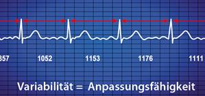 VNS Analyse – Spiegelbild der vegetativen Belastung: Variabilität